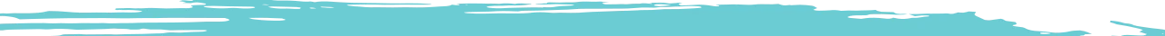 Todo